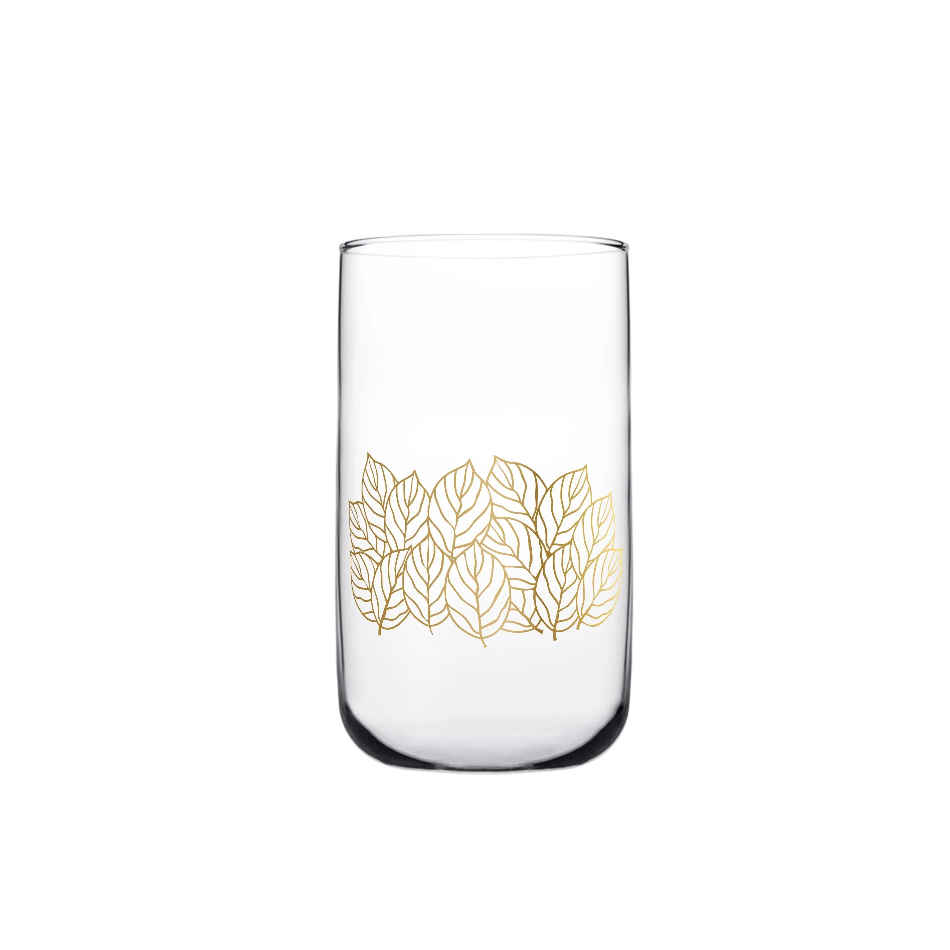 Touch Floret Set Of 6 Pcs Tumblers | Home