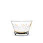 Dimlaj Hayat Set Of 6 Pcs Cawa Cups (Gold) - Premium Arabic Coffee Cups from Hayat By Dimlaj - Just $55! Shop online now at Dimlaj Jordan 