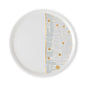 Dimlaj Hayat Porcelain Platter (Gold) - Premium Platters from Hayat By Dimlaj - Just $70! Shop online now at Dimlaj Jordan 